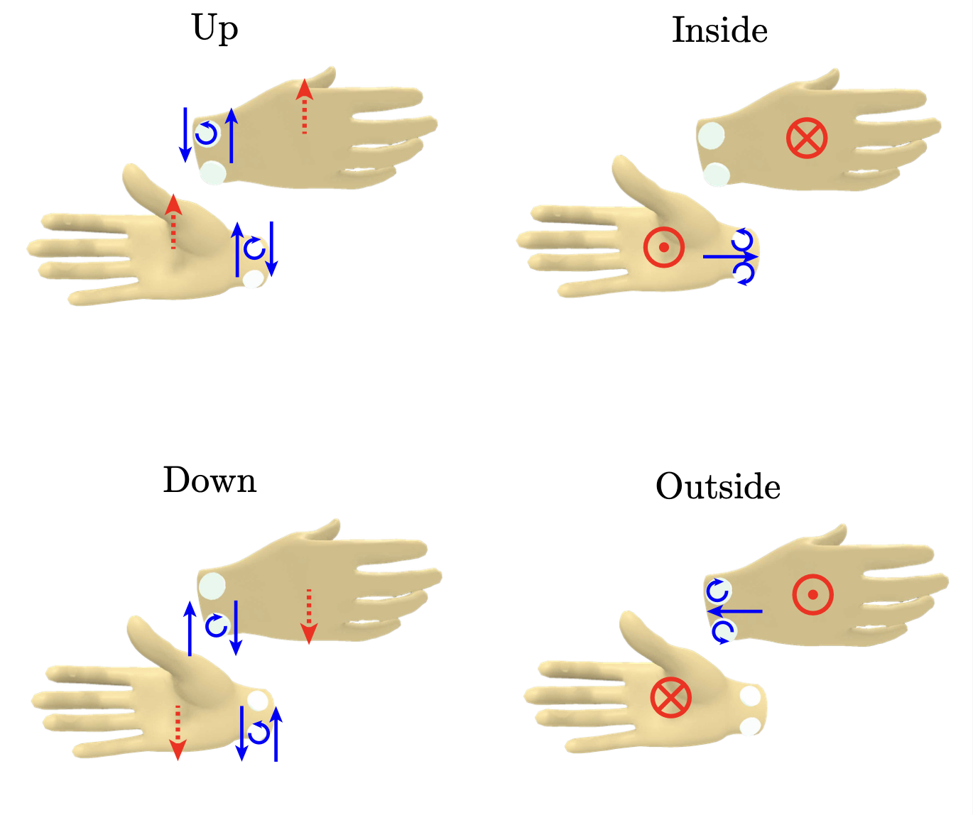 Rotational Skin-stretch Distribution